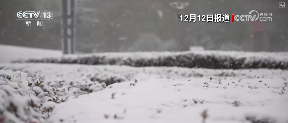 多部门以“雪”为令协同联动保畅通、保民生 全力护航百姓生产生活平稳有序