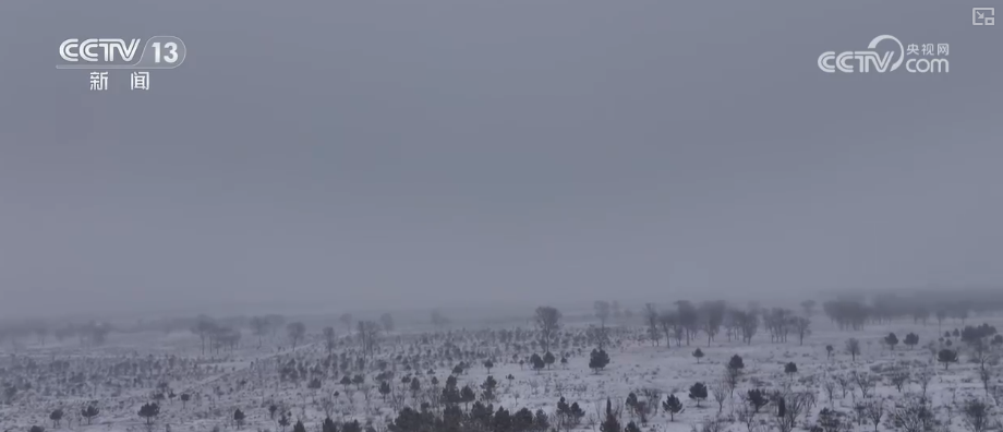 多部门以“雪”为令协同联动保畅通、保民生 全力护航百姓生产生活平稳有序