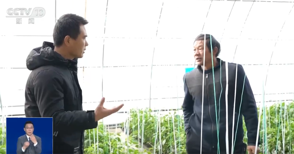 各地各部门联合行动“护航”生产生活 在寒潮中织就“可靠+温暖”民生保障网