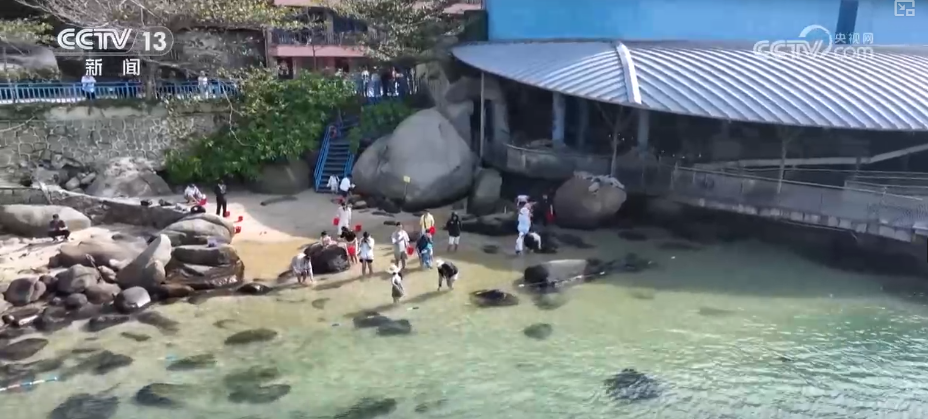 “游玩12小时,流连24小时” 借助冬日文旅“花样”新场景透视火热新消费图鉴