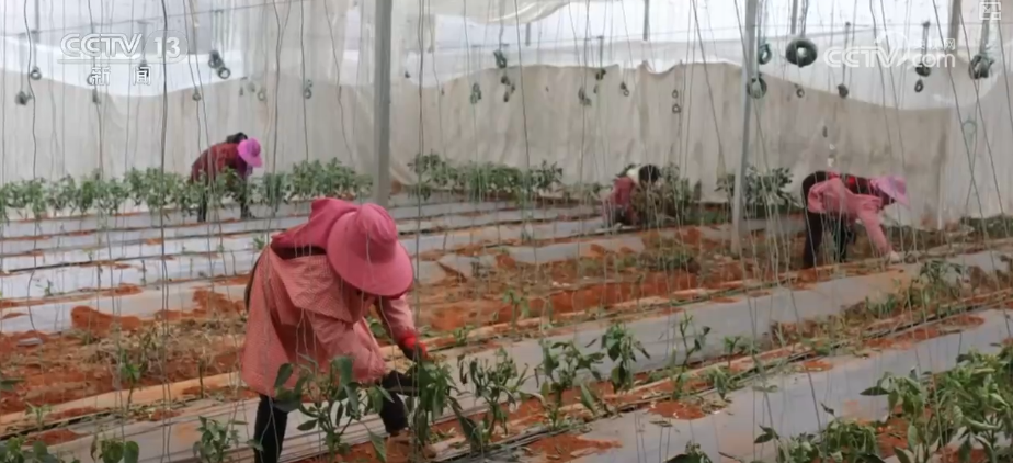 除冰保畅、踏冰送水、指导生产 多部门精准施策办好民生实事保障百姓生产生活